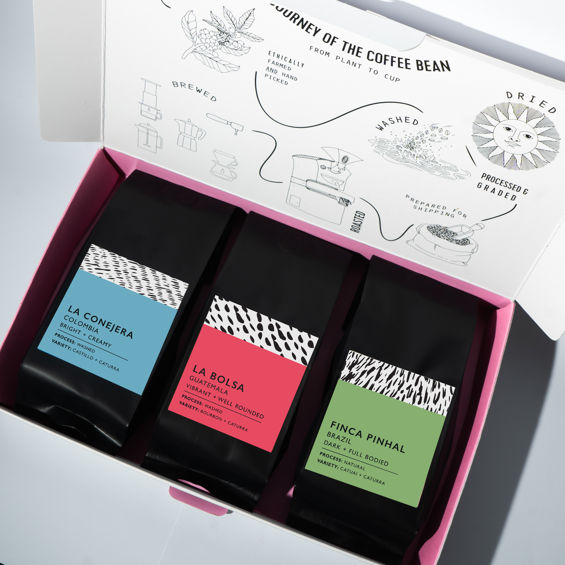 Single Origins Tasting Box image 0